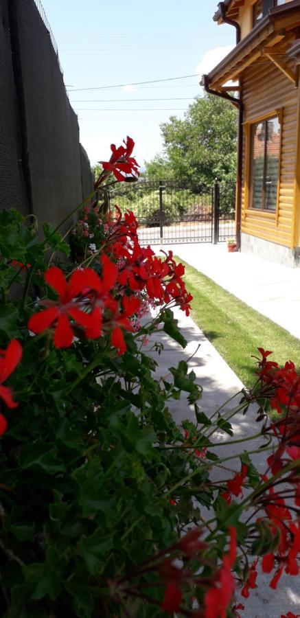 Guest House Ideal Sapareva Banja Exteriér fotografie
